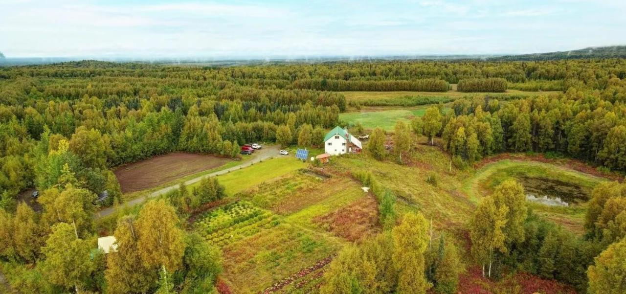 Falcon'S Nest Bed And Breakfast Talkeetna Exteriér fotografie
