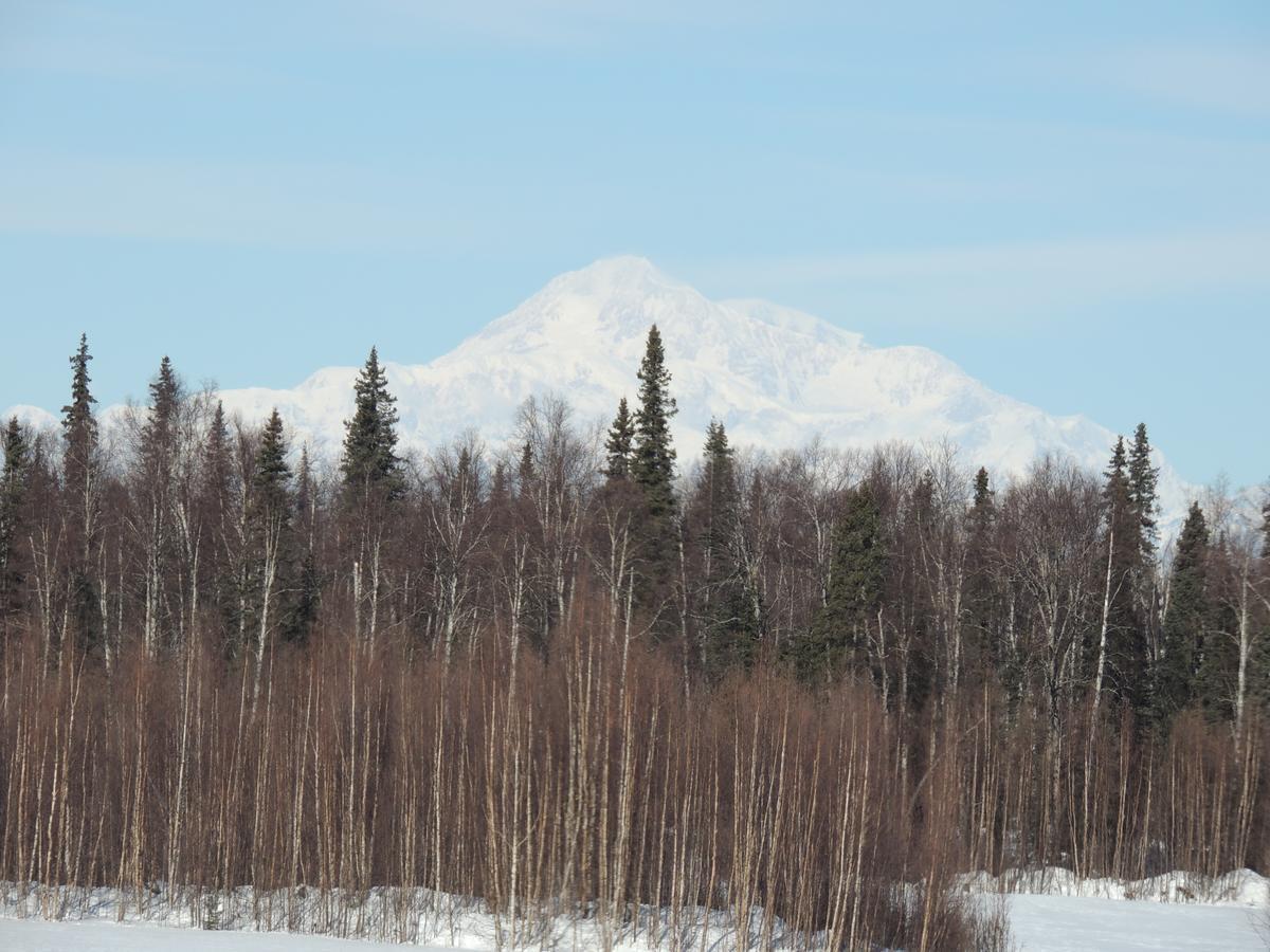 Falcon'S Nest Bed And Breakfast Talkeetna Exteriér fotografie