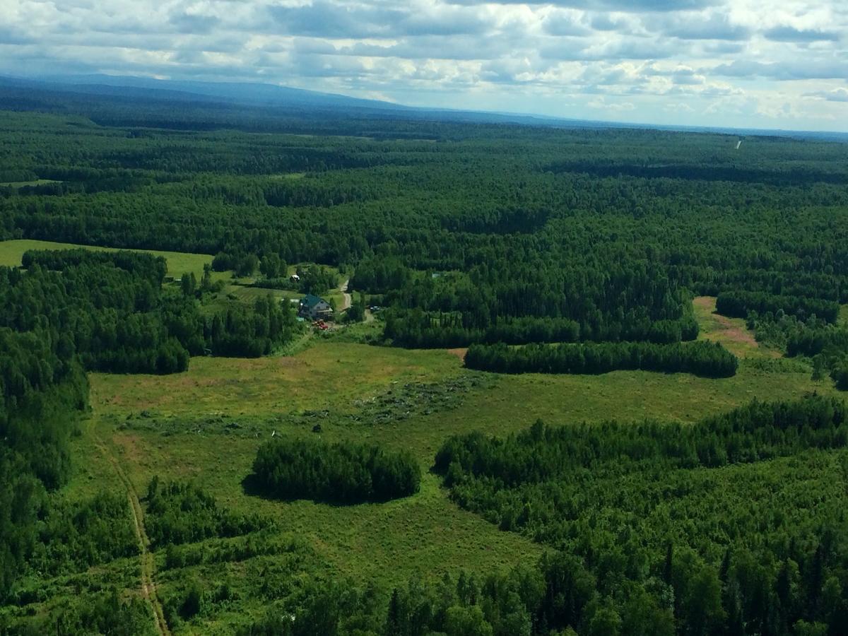 Falcon'S Nest Bed And Breakfast Talkeetna Exteriér fotografie