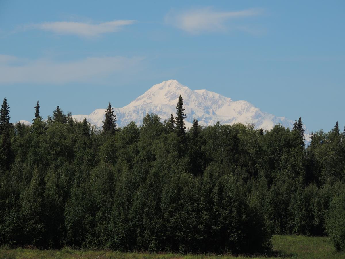 Falcon'S Nest Bed And Breakfast Talkeetna Exteriér fotografie